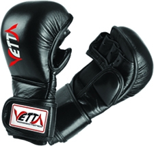 MMA